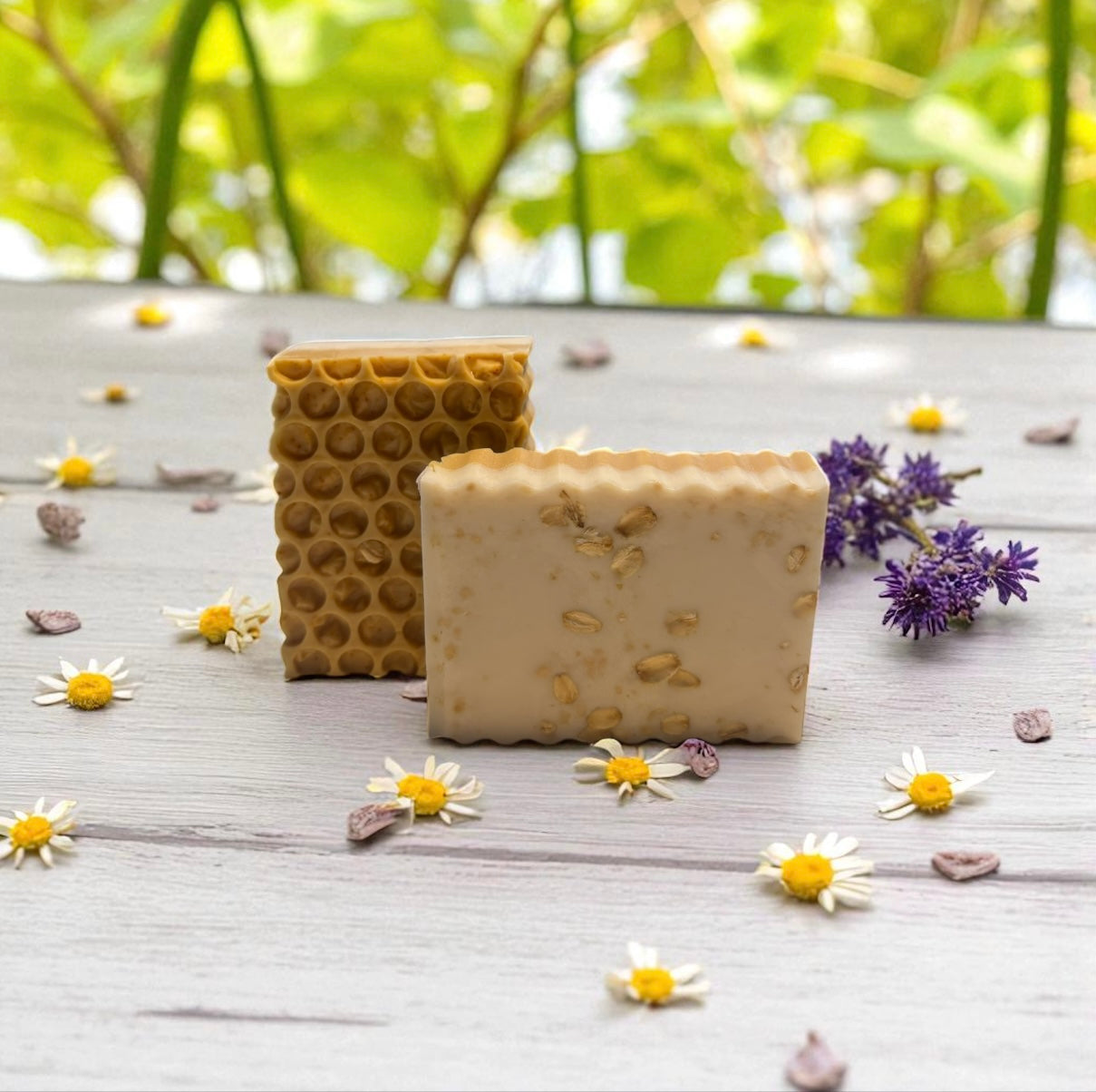 Soap Bars